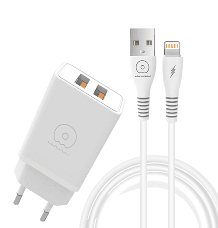 Мережевий зарядний пристрій з кабелем WUW-T55 2USB/3.1A set IP